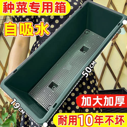 50cm阳台种菜专用盆【用坏包赔】