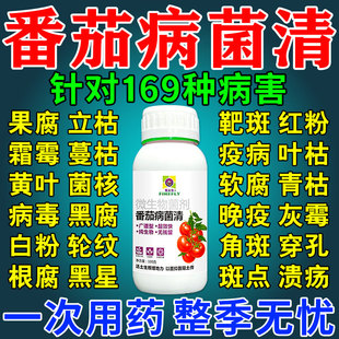 西红柿病毒病专用药番茄病菌清防卷叶枯萎裂果炭灰疽霉病叶面肥