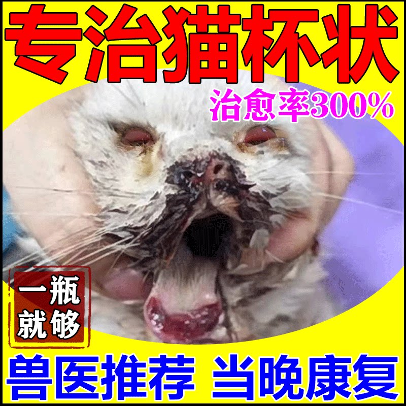 猫杯状特效药治疗猫咪感冒打喷嚏口炎神器疱疹杯状病毒猫鼻支专用