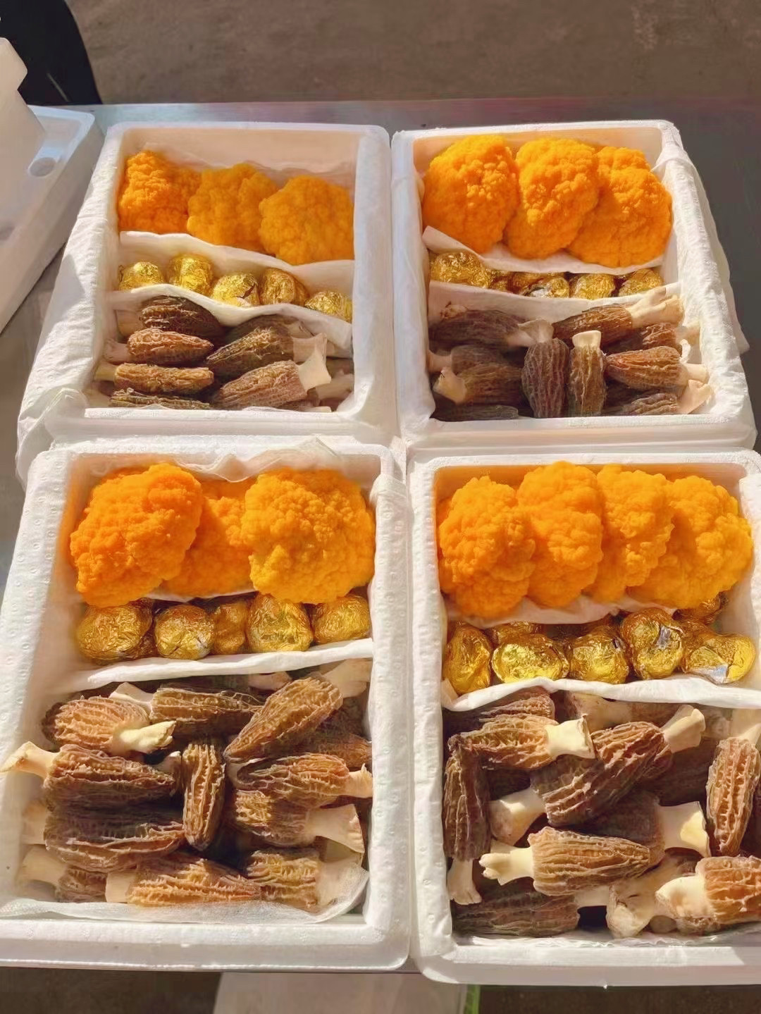 新鲜云南野生菌组合 2斤羊肚菌黑松露金耳煲汤火锅礼盒野生菌新鲜