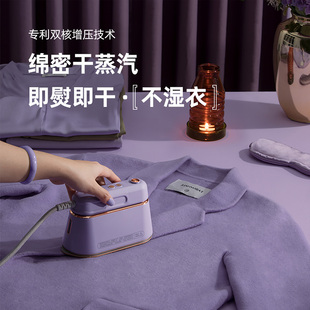 小型熨烫机 大宇手持挂烫机家用熨衣服蒸汽电熨斗便携式