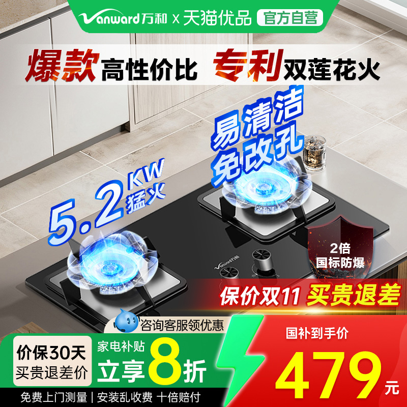 万和天然气燃气灶双灶嵌入台式液化气煤气猛火B9灶具171