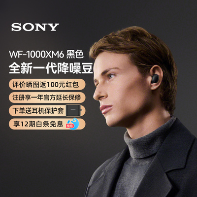 索尼（SONY）WF-1000XM6 全新一代真无线蓝牙降噪耳机 黑色 133