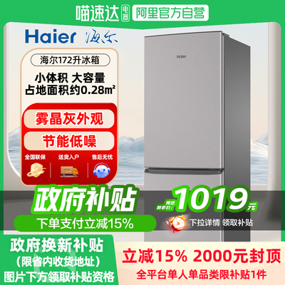 海尔冰箱双开门172L升节能小型电冰箱省电家用宿舍租房深冷保鲜J