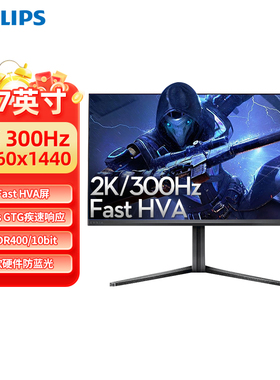 飞利浦27英寸2K300Hz显示器HVA面板硬件低蓝光电竞色准27M2N5500Y