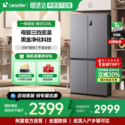 海尔leader539L一级家用无霜冰箱