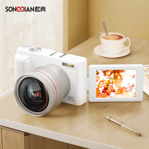 松典DC101L入门数码相机