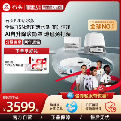 LDS智能导航P20活水版