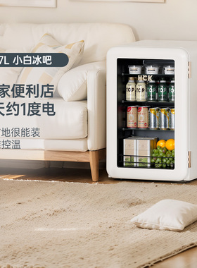 HCK哈士奇小冰吧透明冷藏柜家用办公室饮料茶叶小型复古冰箱90
