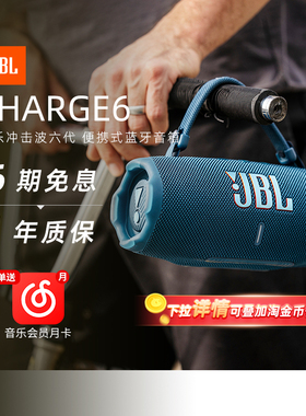 JBL音响CHARGE6冲击波六防水户外无线便携蓝牙音箱284