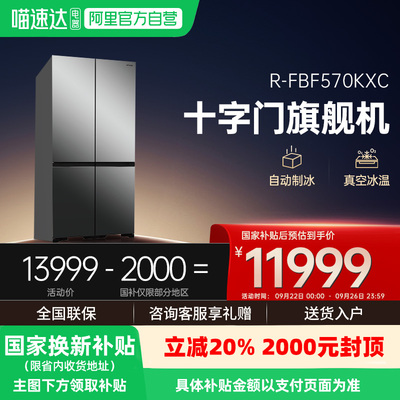 享国家补贴｜日立原装进口冰箱