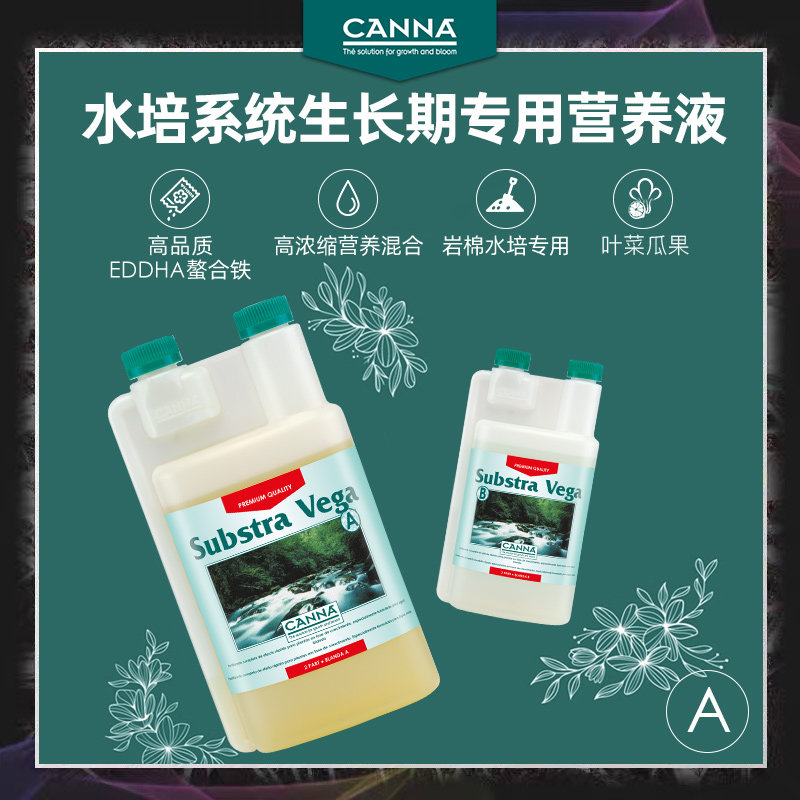 CANNA岩棉水培叶菜绿植