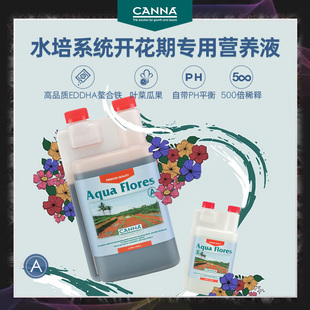 Flores A花果肥植物营养液花瓜果专用螯合铁 AQUA 荷兰水培CANNA
