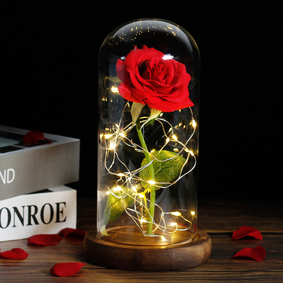 Beauty And The Beast Rose Rose In LED Glass Dome  Rose Red R