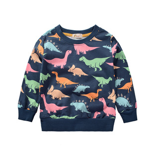 Cartoon Dinosaur Boys Sweatshirts for Little Kids Hoodies Cl