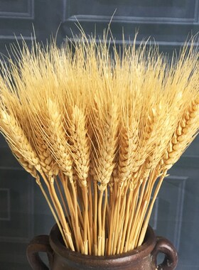 23cm Wheat Ear Artificial Flowers Natural Dried Flowers For