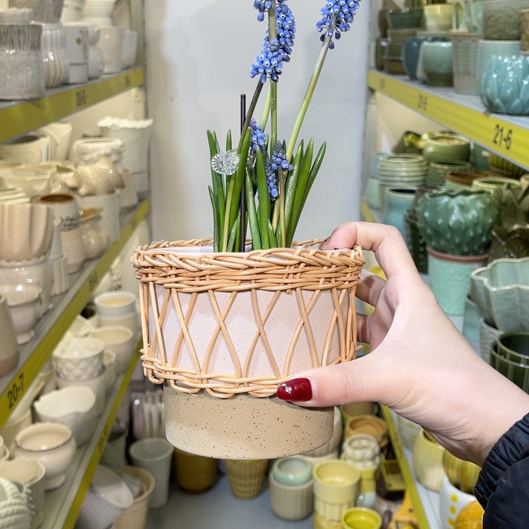 高10.5口10,鲜花速递/花卉仿真/绿植园艺,花盆,淘宝优惠券,粉丝福利购,淘宝优惠卷