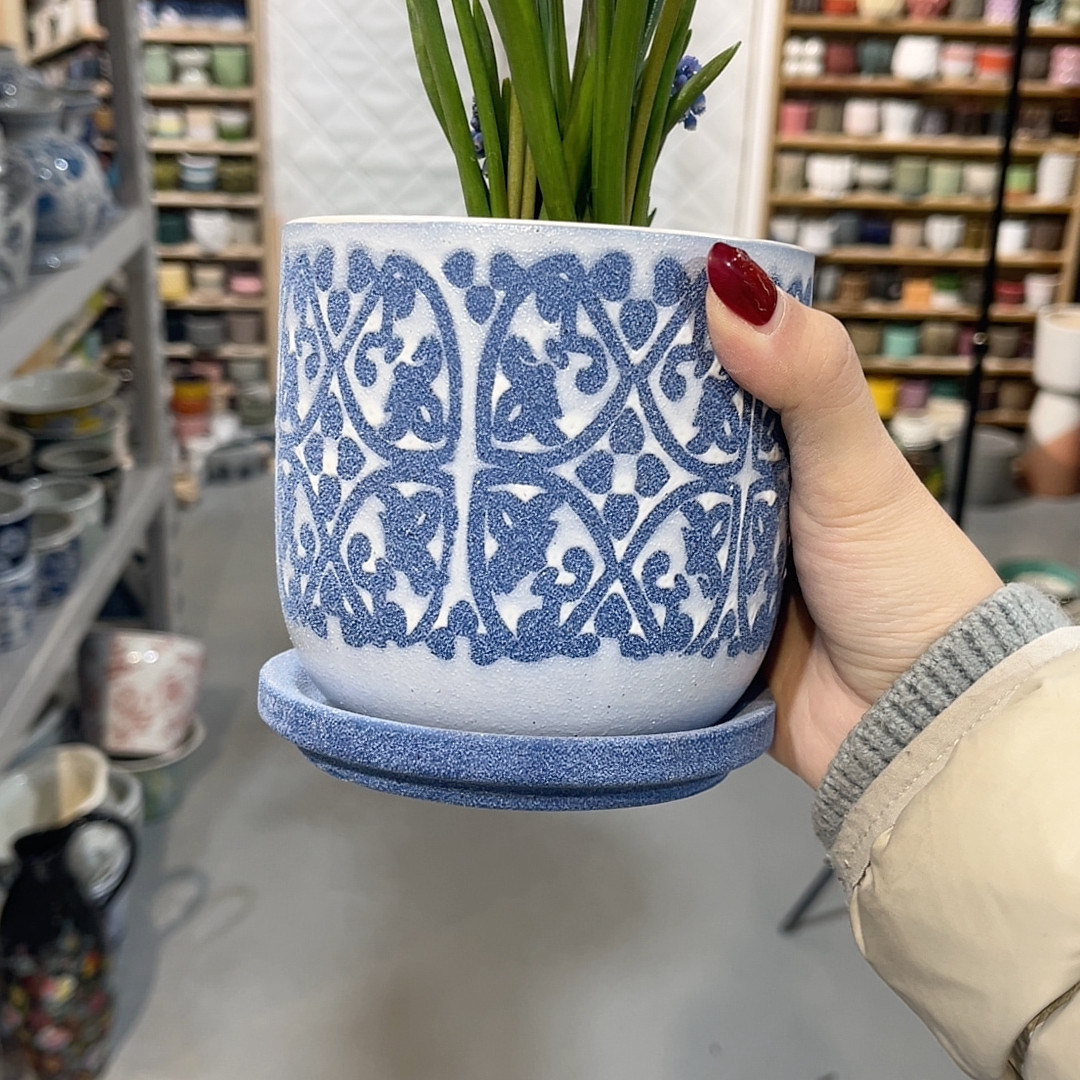 高11.5口10,鲜花速递/花卉仿真/绿植园艺,花盆,淘宝优惠券,粉丝福利购,淘宝优惠卷