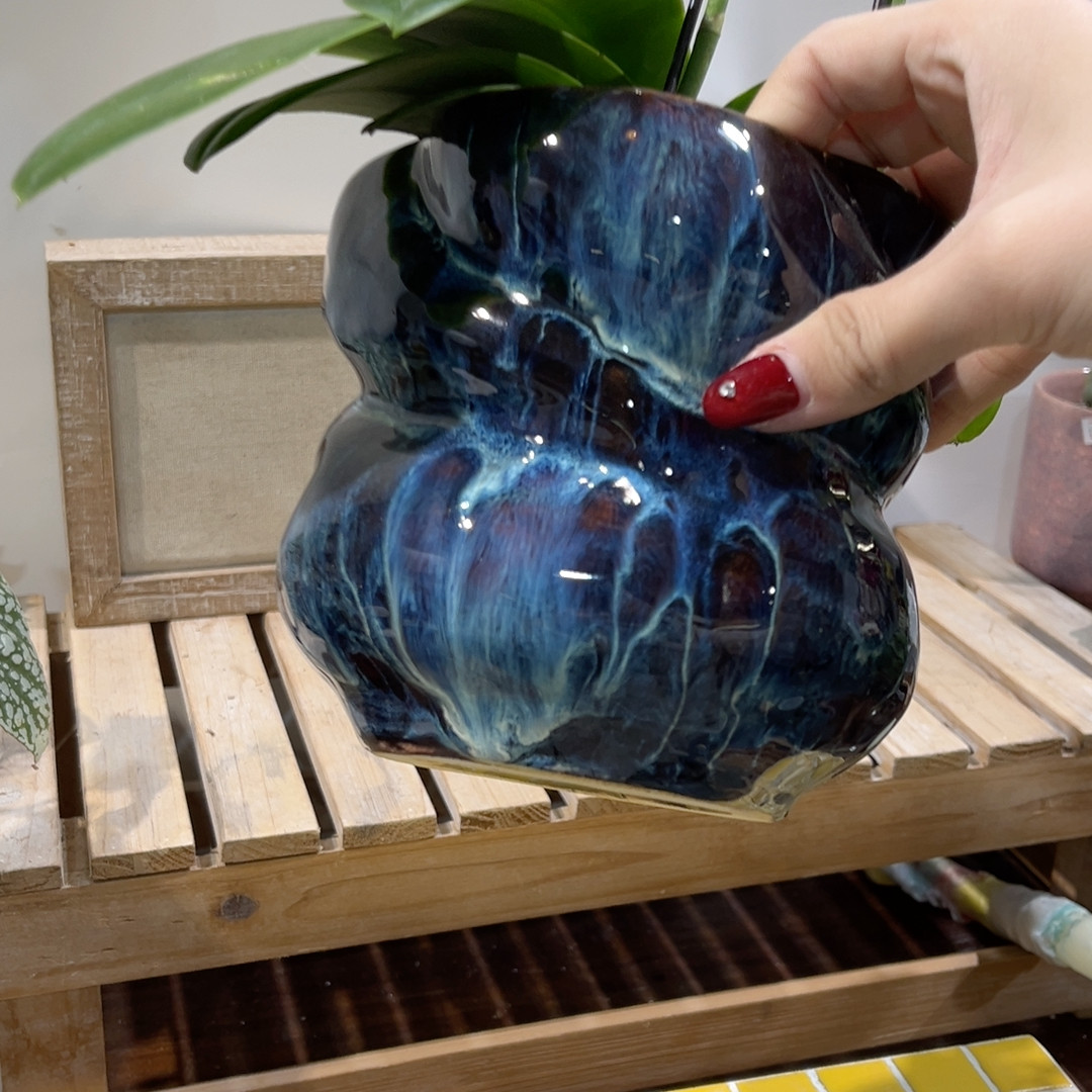 高13口11,鲜花速递/花卉仿真/绿植园艺,花盆,淘宝优惠券,粉丝福利购,淘宝优惠卷