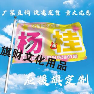 杨桂应援大旗TF家族杨文博张桂源CP应援旗演唱会户外音乐节大旗