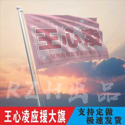 王心凌应援旗音乐节大后会