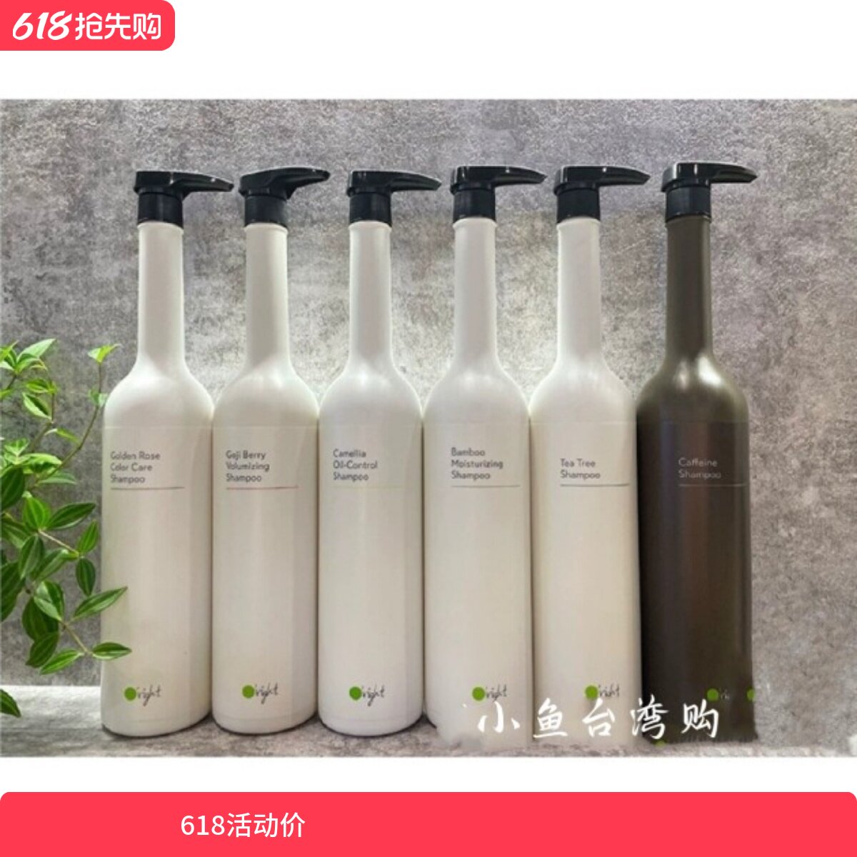 现货欧莱德茶树茶花咖啡因蒲公英枸杞绿茶香槟洗发水正品控油去屑