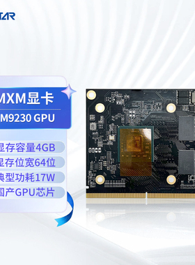 GITSTAR集特国产景嘉微MXM显卡JM9100显存4G