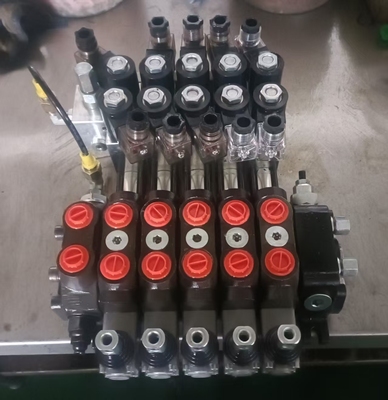 液压多路阀DCV100-5-DC24