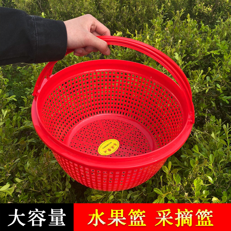 圆形塑料草莓篮水果杨梅篮子带提手桑葚采摘筐蓝莓枇杷鸡蛋篮包邮