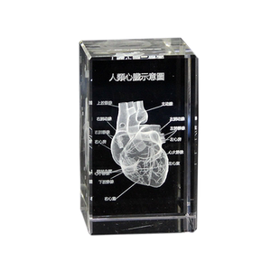 水晶玻璃内雕人体心脏解剖模型图定制送医生学生医学礼物品摆件