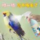 鸟类鹦鹉体外鸟用鸟禽除螨喷雾剂家用去螨虫鹦鹉洗澡杀菌消毒神器