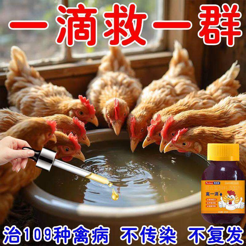 禽一滴禽类急救包鸡鸭鹅