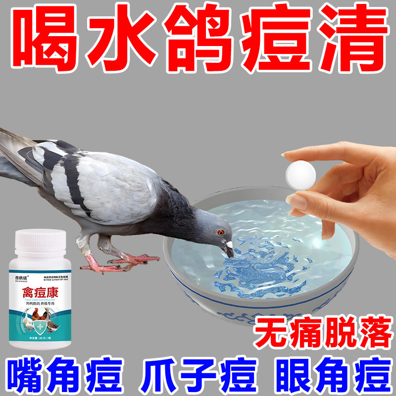 鸽痘特效药治鸽子鸽瘤嘴