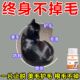 普欣诺宠物防脱毛片猫狗通用猫猫专用不掉毛美毛亮毛高纯度美毛