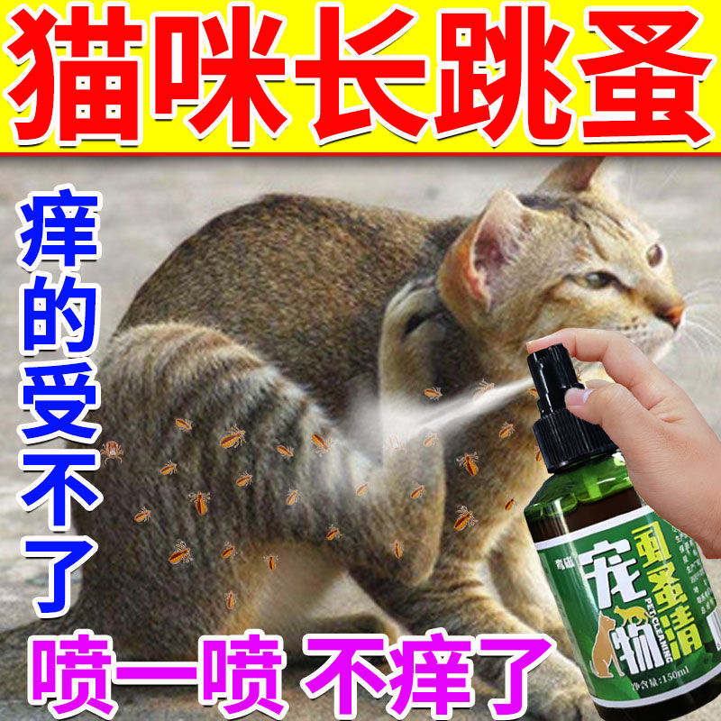 幼猫驱虫【不怕舔】除跳