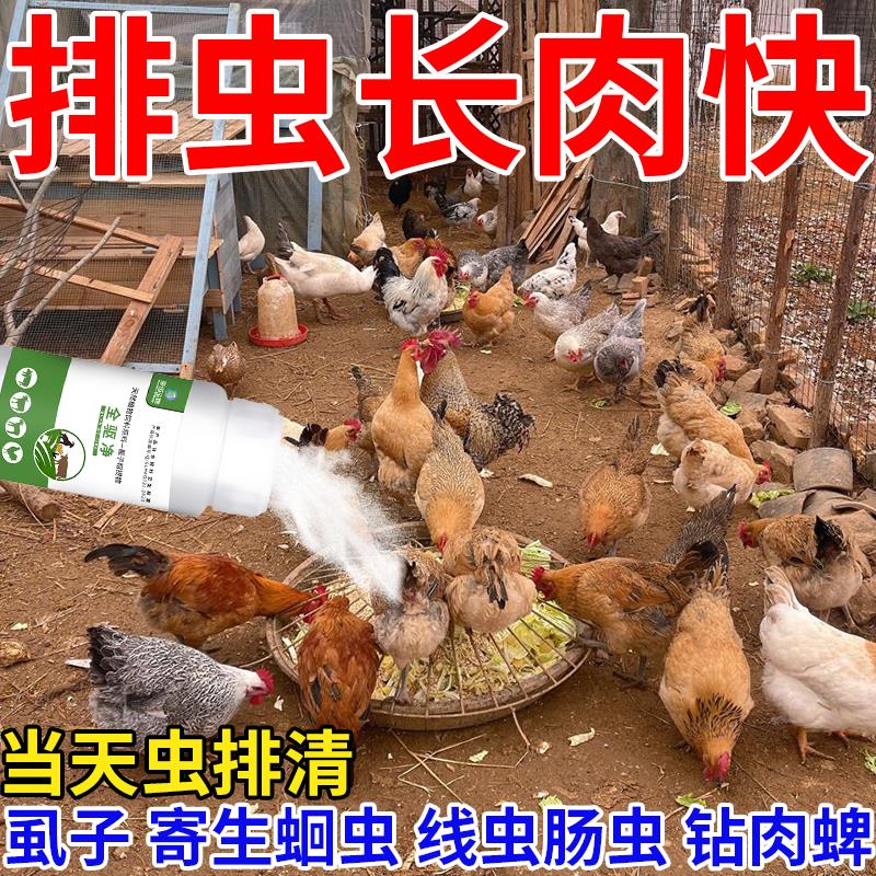 全驱净鸡鸭鹅通用家禽打