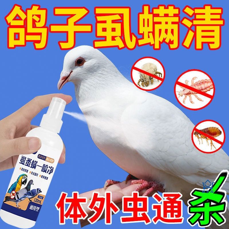 鸽子体外驱虫药去除顽固