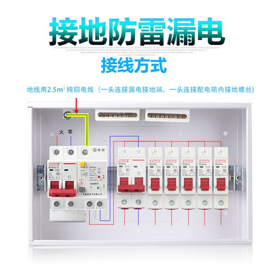 施电接地防雷断路器漏电保护器触电保护开关家装2P220V63a浪涌