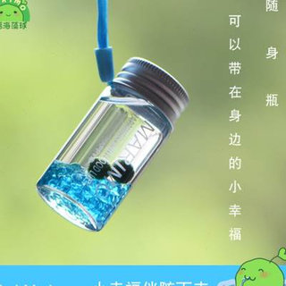 marimo幸福海藻球随身瓶创意迷你绿植水培微景观生态瓶负离子生物