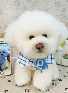 羊毛毡来图定制宠物猫狗专属全身