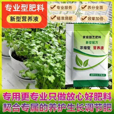 香菜专用肥料养护营养液四季播耐寒老品种小叶易种阳台盆栽庭院室