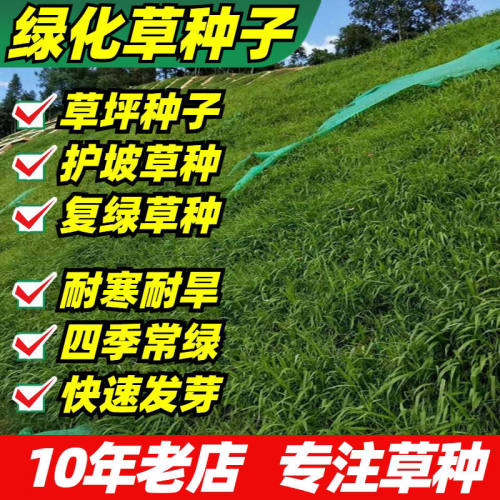 护坡草籽复绿种子四季常青