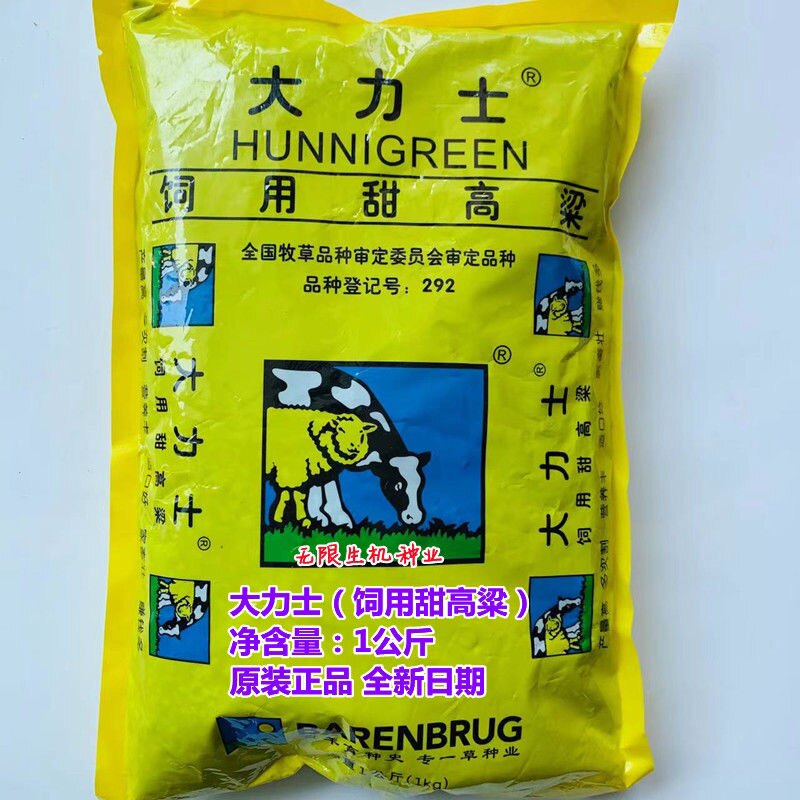 大力士饲用甜高粱种子进