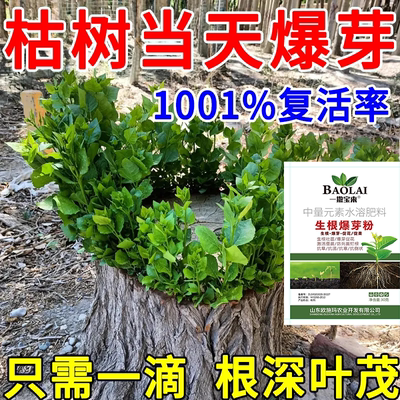 大树快速成活营养液强力生根药水