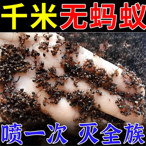 灭杀蚂蚁特效室内外一锅端灭红白蚁神器家用强力无毒喷雾杀虫药剂