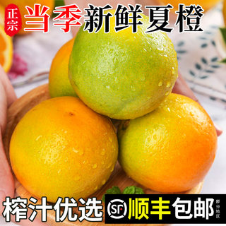 湖北秭归夏橙脐橙新鲜应季时令顺丰包邮水果冰糖手剥果冻甜橙子