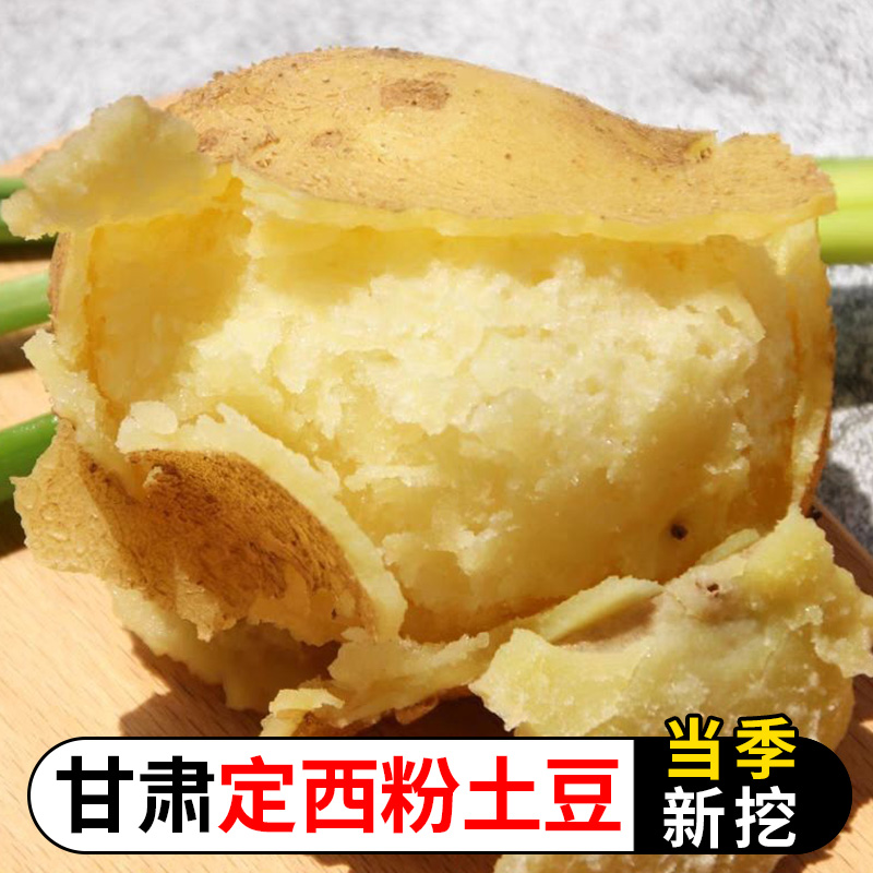 定西沙面软糯大土豆现挖现发
