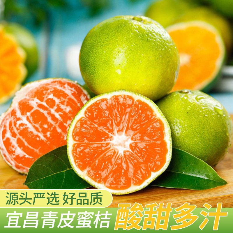 宜昌蜜桔现摘青皮当季时令桔子新鲜水果柑橘无籽鲜果橘子孕妇蜜橘