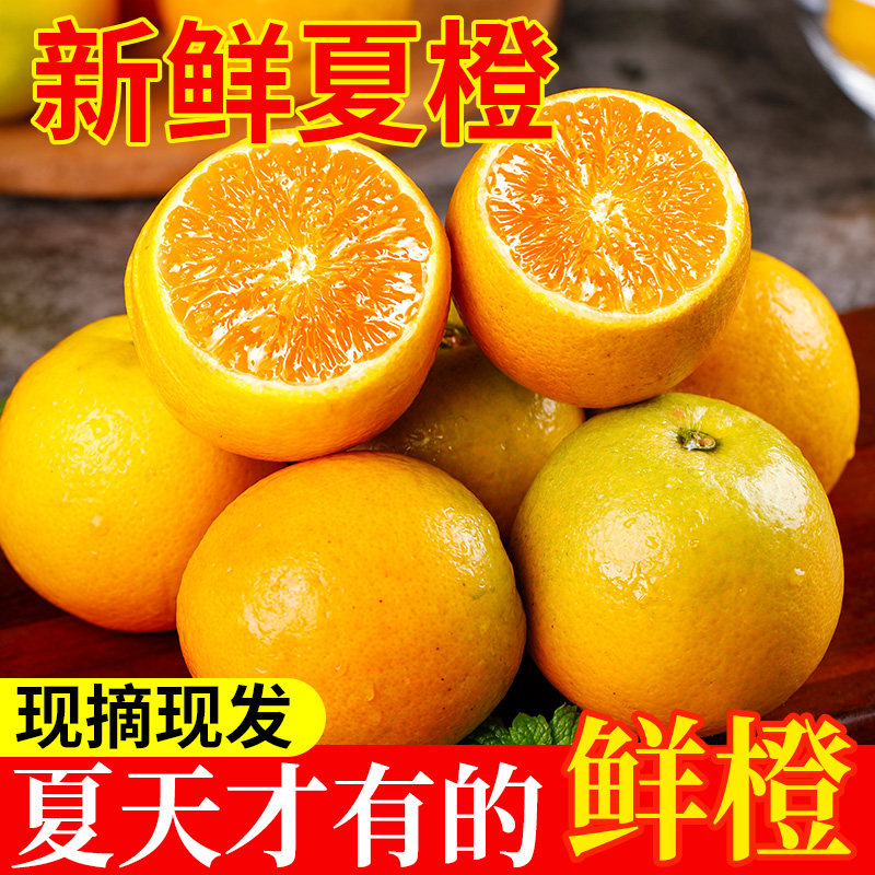正宗秭归夏橙新鲜时令应季榨汁水果整箱赣爱南媛甜冰糖果冻橙子