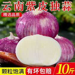 紫皮蒜云南大理湿蒜独头蒜5斤大蒜头新蒜蒜米独蒜新鲜农家干蒜10